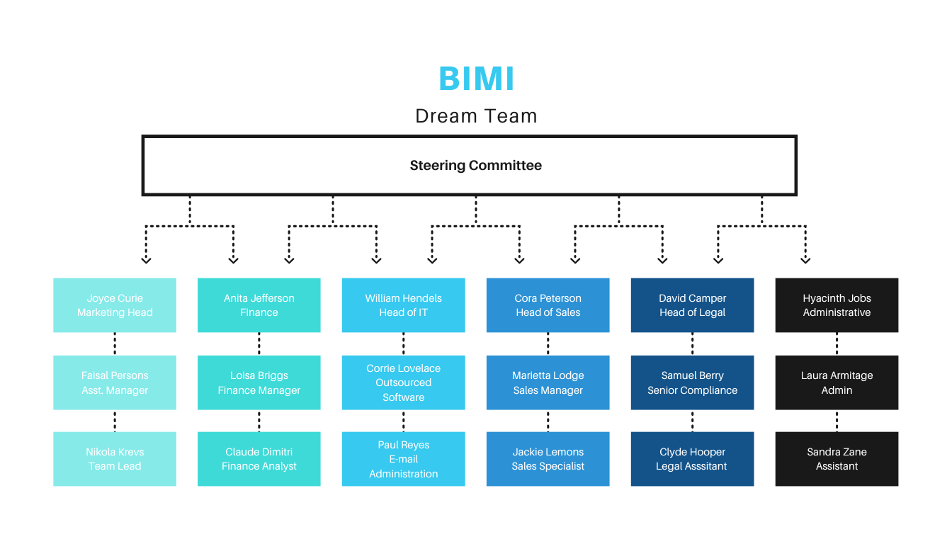Схема команды BIMI Dream, состоящей из маркетинга, финансов, информационных технологий, продаж, юридического и административного отделов